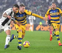 帕尔马队球员集体发力，齐心协力取得胜利的简单介绍