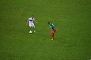 费内巴切主帅放话：温网四强战必胜曼联，王楚钦冷笑回应